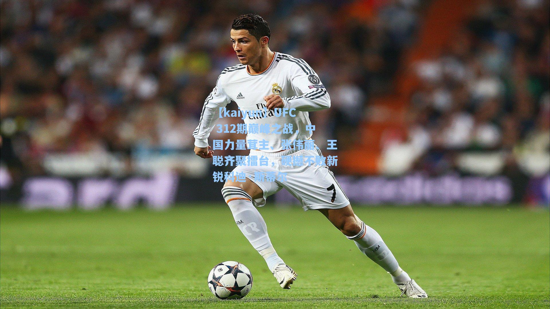 【kaiyun】UFC 312期巅峰之战，中国力量茸主、张伟丽、王聪齐聚擂台，硬撼不败新锐科迪·斯蒂尔